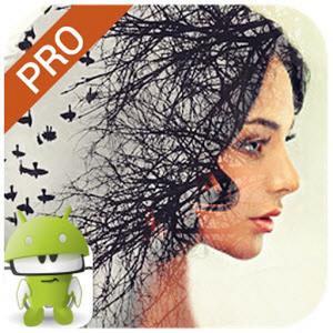 Pho.to Lab PRO - photo editor  v3.3.7