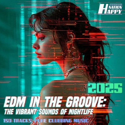 EDM In The Groove: Edition 02 (2025)