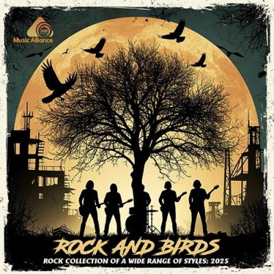 Rock And Birds (2025)